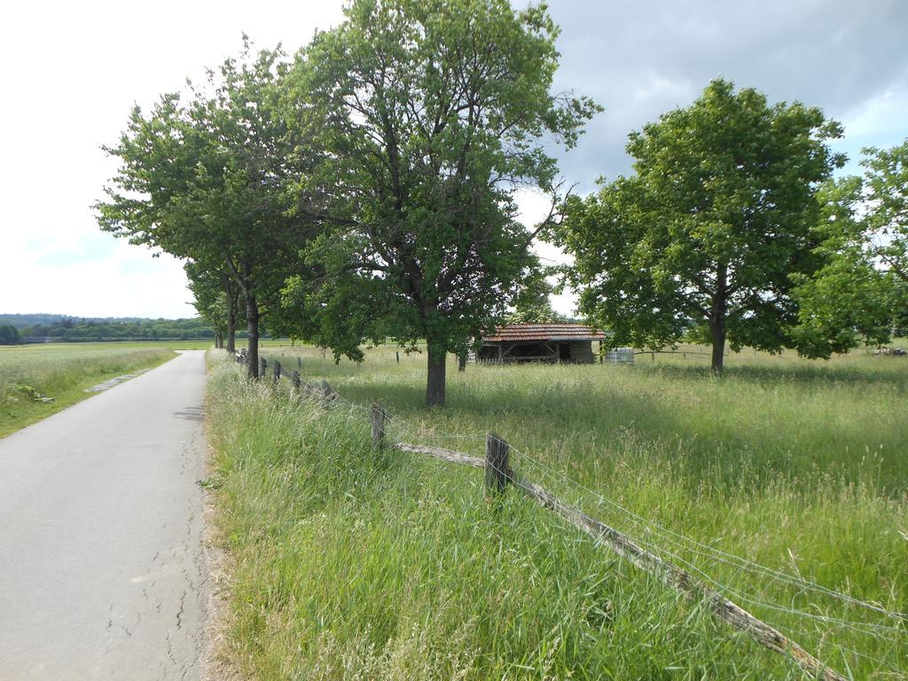 Hotel Pfeffermuehle Borchen Esterno foto
